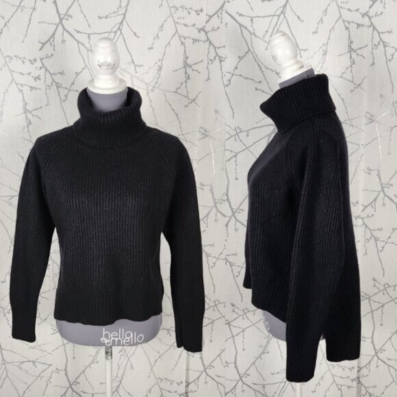 Wilfred Free 100% Wool Ribbed Knit Turtlenck High Low Lin Sweater - Picture 2 of 4